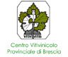 http://centrovitivinicoloprovinciale.it/
